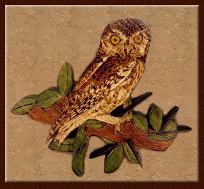 elf owl  tanja sova pyrography 